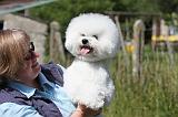 ADULTE ET CHIEN 103